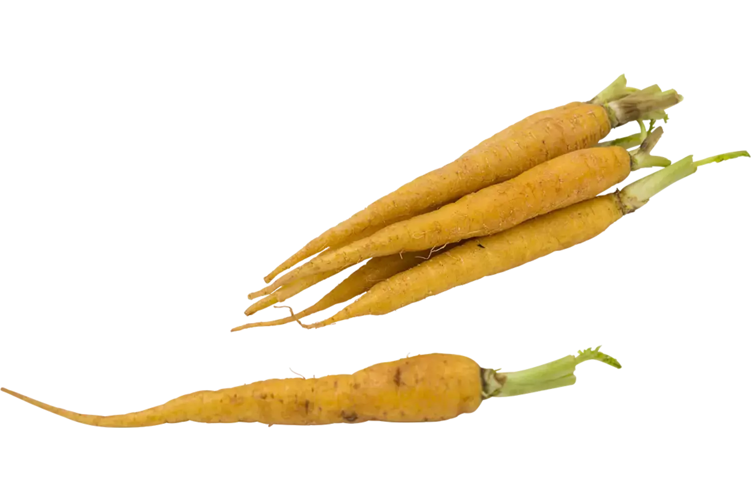 Mini bospeen geel 200gr stuk